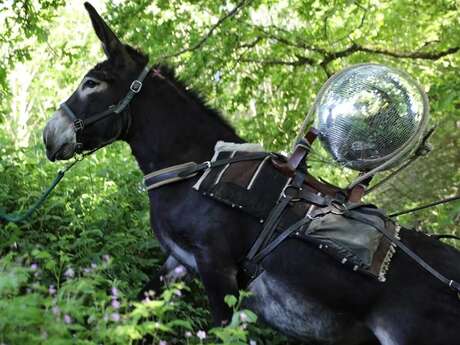 Rendez-vous au manoir de Vaubonnais -Créer par et pour un paysage- La Pierre