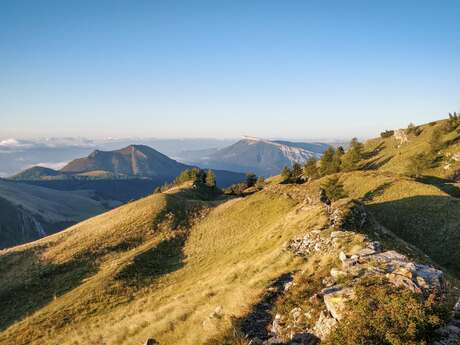 Parcours trail Gleize n°9