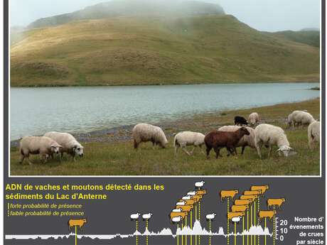 Conférence "Voyage au cœur des lacs et de la vase à la recherche des origines des paysans des Alpes" par Charline Giguet-Covex