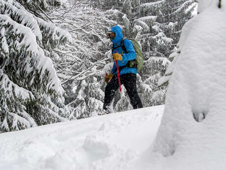Raclette à raquettes
