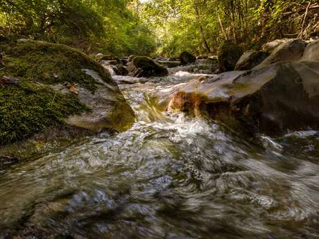Conference on the proper functioning of rivers