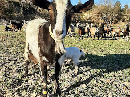 GAEC la ferme Taterre