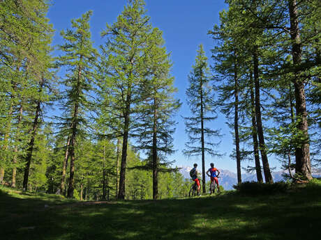 Parcours VAE & CROSS COUNTRY (XC) - DECOU'VERTE