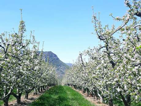EARL Les Pommes de la Vallée du Buëch