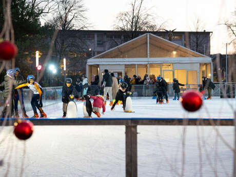 Animation - La patinoire d'Épinay + Spectacle sur glace