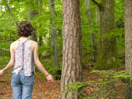 Améliorez votre bien-être intérieur grâce à une immersion nature - niveau débutant Améliorez votre bien-être intérieur grâce à une immersion nature - niveau débutant