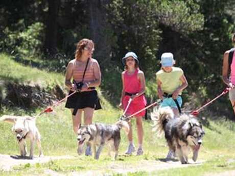 Cani-marche - Balade à 6 pattes avec Angaka