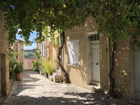 Parcours n°22 - Vitrolles-en-Luberon