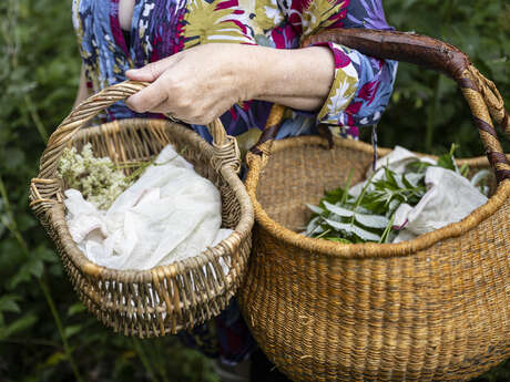 Fabrique ta tisane à La Boite à Mélisse