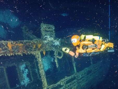 20 milieux sous les mers