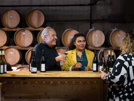 Culture et Vin au Domaine de Pimotin