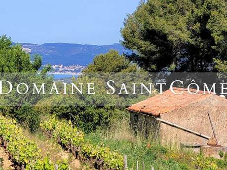 Domaine Saint Côme