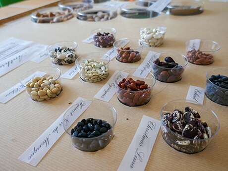 Les graines sont à l’honneur