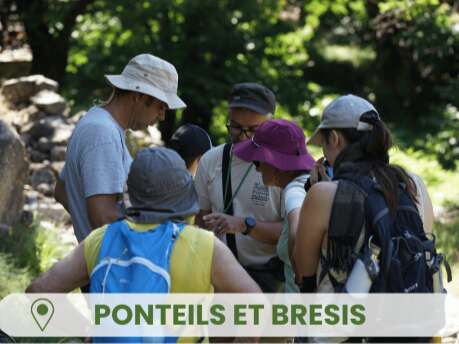 Sortie à la découverte des insectes pollinisateurs