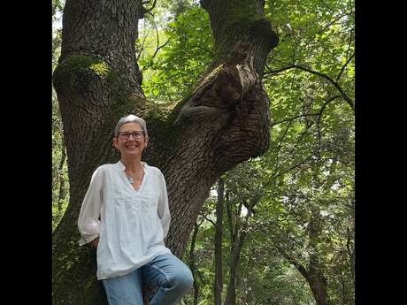 Sortie Shinrin Yoku ou Bain de Forêt