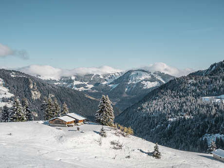 Sneeuwschoen route - Col de Bassachaux | Plaine Dranse