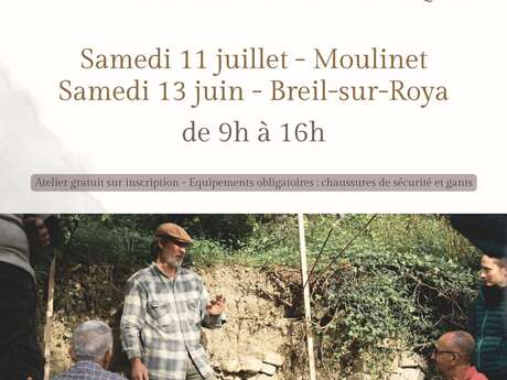 Atelier restauration de restanques