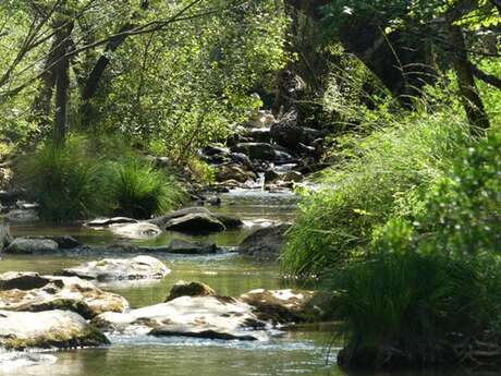 TOURVES - Les gorges du Caramy