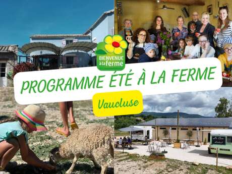 Festival de comédies d'Alloïs
