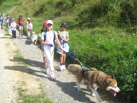 Canine hike with Évasion Nordique