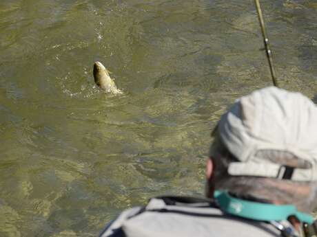Pisciculture La Source Bleue