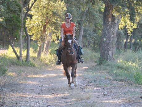 The Equestrian Trail The Equestrian Trail