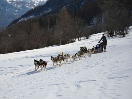 Rando Passion : chiens de traîneau