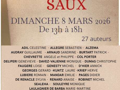 Salon du Livre "Dedicasaux"