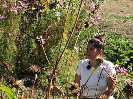 Miel bio toutes fleurs du Queyras