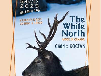 Exposition "The white north"
