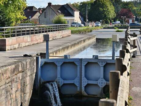 PR6 Circuit Le sentier des Vignes