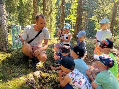 Repor'terre de la forêt