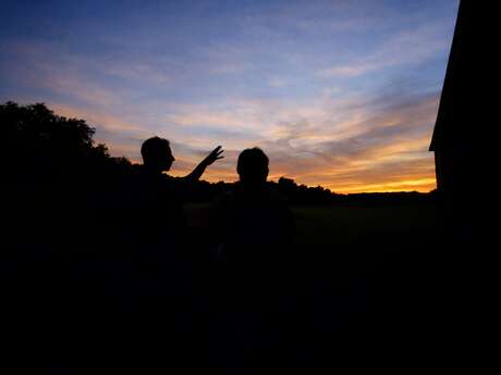 Nuit Safari