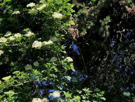 Aventure nature à la ferme !