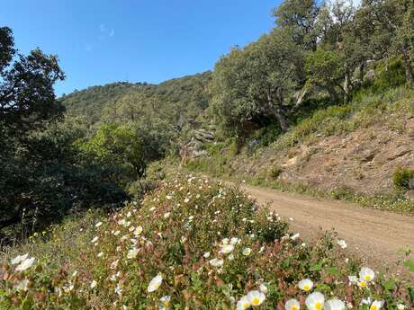 Les crêtes VTT