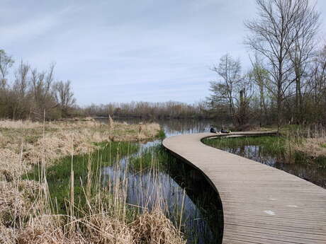 Aire de pique-nique Gravière aux oiseaux