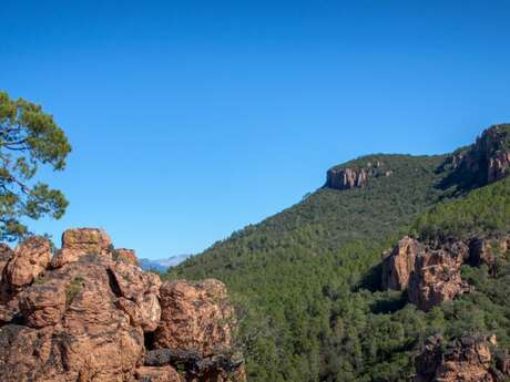 Table d'Orientation - Bagnols-en-Forêt