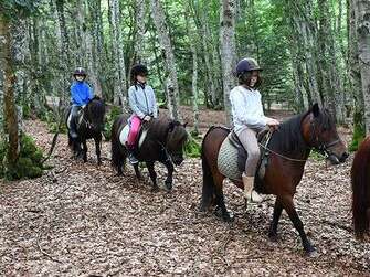 Séjour "Petit Poney" au Chalet des Alpes