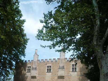 Conférence "La noblesse des grands domaines pontétiens" Conférence "La noblesse des grands domaines pontétiens"