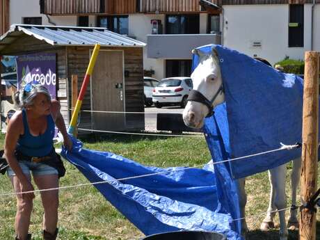 Initiation à l'apprentissage en renforcement positif (R+ / Clicker training)