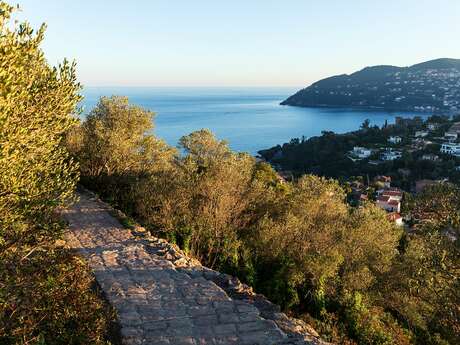 Balade commentée au Mont San Peyre