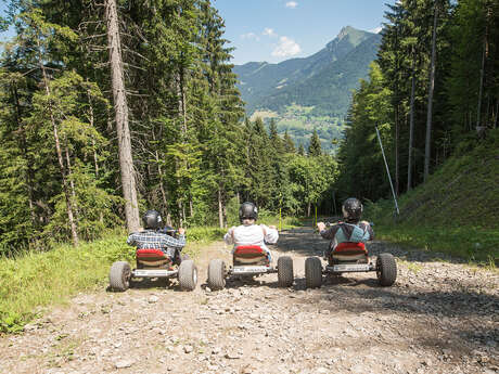 Mountain kart