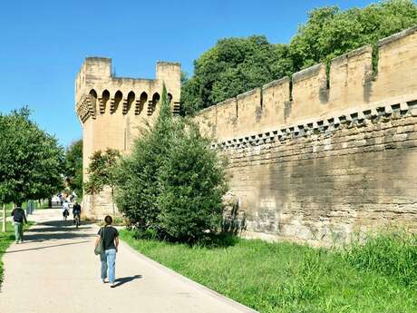Parcours de l'arbre Parcours de l'arbre