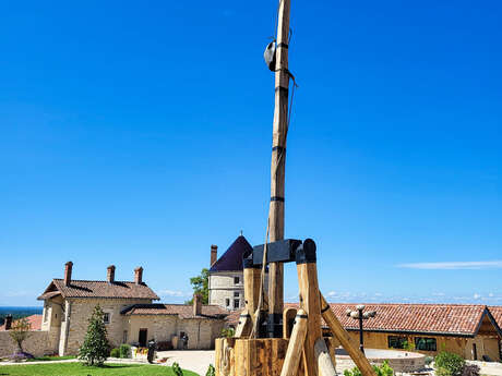 Visite guidée du Château de Treffort