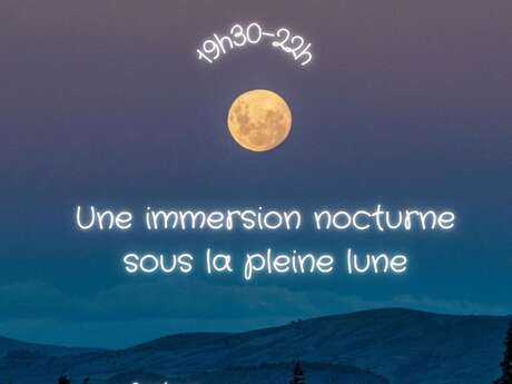 Bain de forêt sous la pleine lune