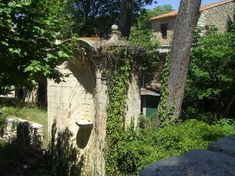 Fountain in the large garden