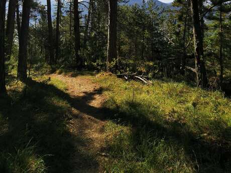 Festival de la biodiversité