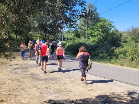 Le chemin du château de Bidaine