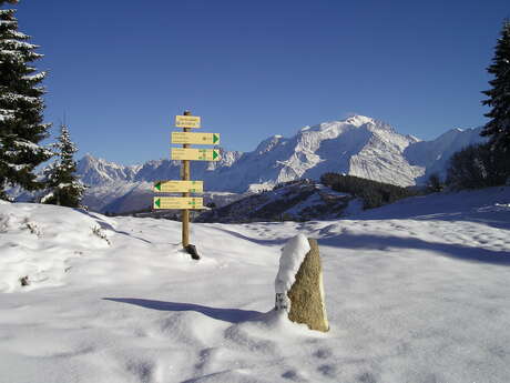 Sortie raquette " Entre 2 Savoies"