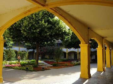 La Galerie Itinérante de l'IUP AIC